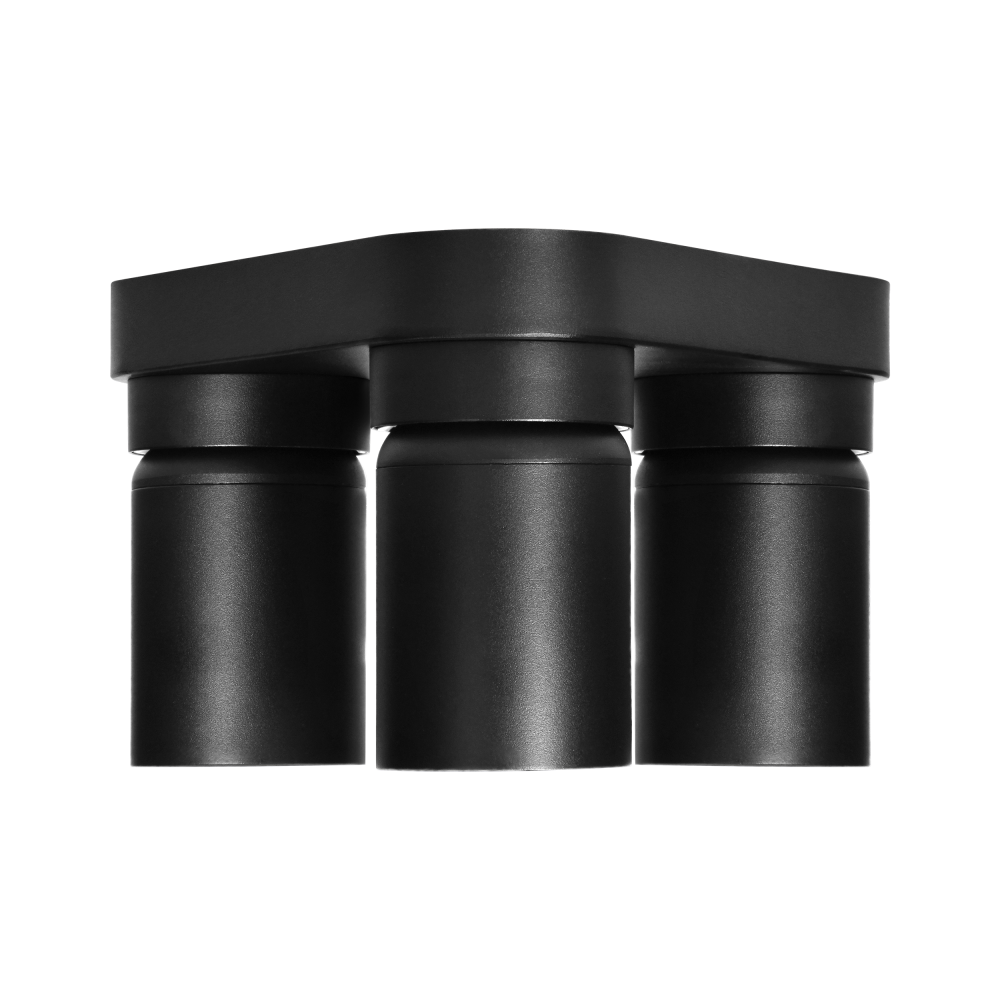 MALTA SP 3, wall and ceiling light, GU10 max. 3x12W, IP20, black, triangular base